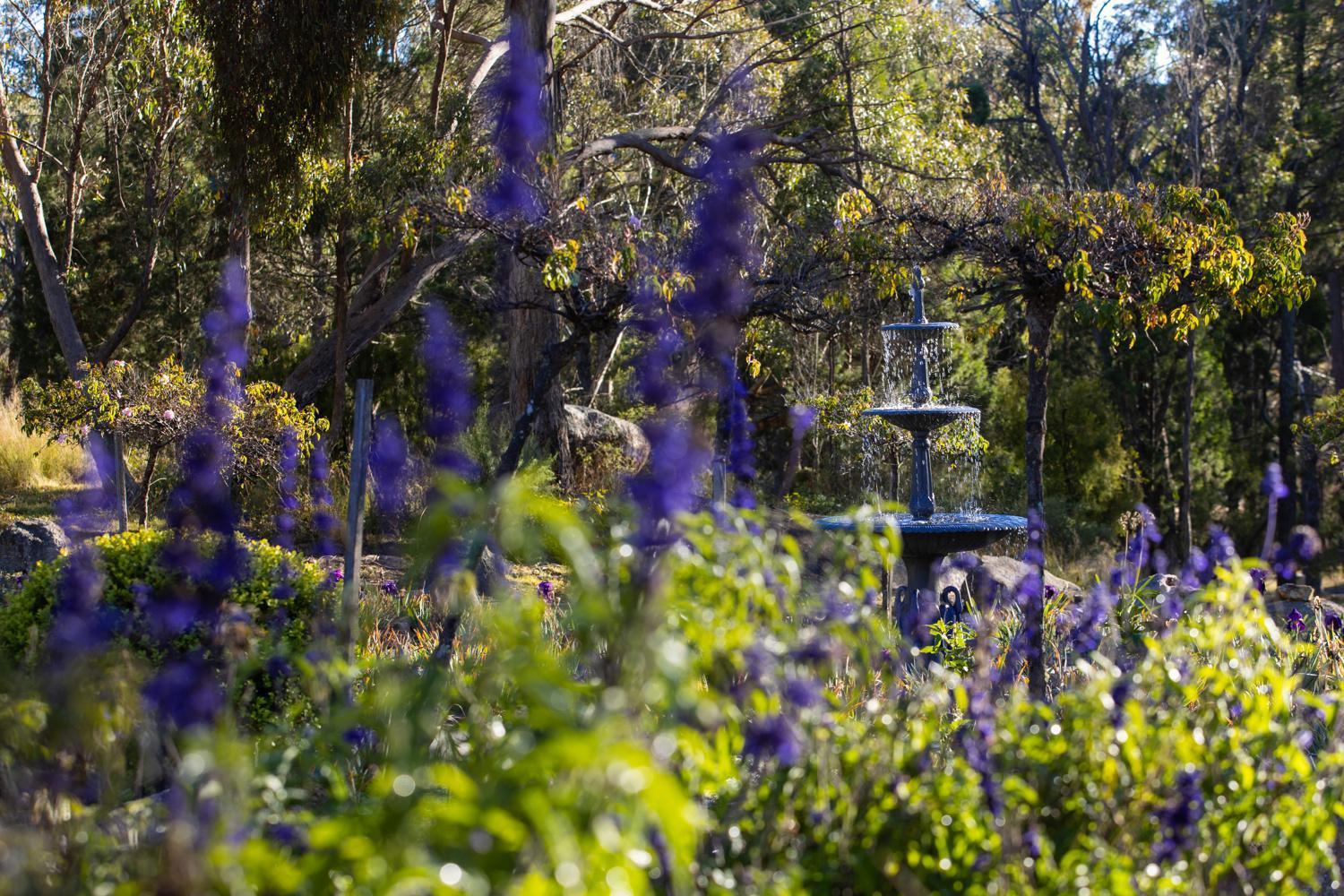Girraween Country Inn Ballandean Ngoại thất bức ảnh